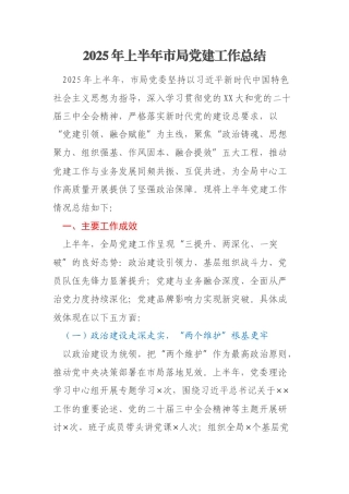 2025年上半年市局党建工作总结 (2)
