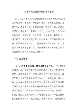 关于作风建设集中整治情况报告