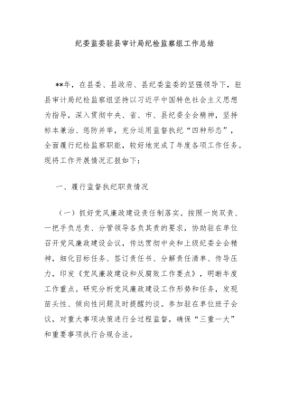 纪委监委驻县审计局纪检监察组工作总结