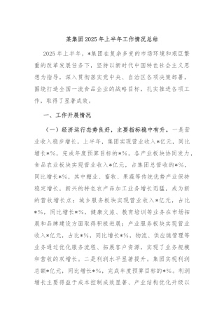 某集团2025年上半年工作情况总结