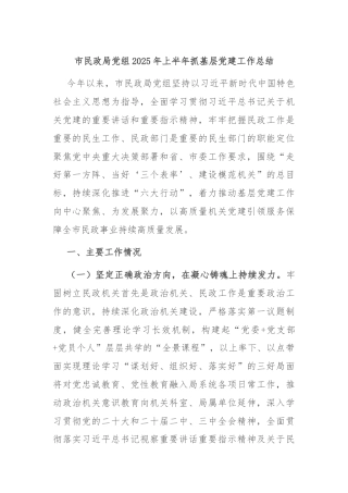 市民政局党组2025年上半年抓基层党建工作总结