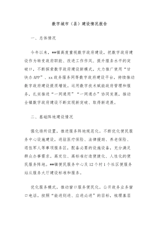 数字城市（县）建设情况报告