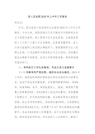 县人民法院2025年上半年工作报告