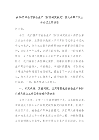 在2025年全市安全生产（防灾减灾救灾）委员会第三次全体会议上的讲话