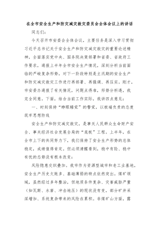 在全市安全生产和防灾减灾救灾委员会全体会议上的讲话
