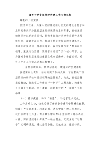 镇关于党支部结对共建工作专题汇报