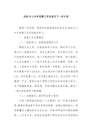 2025 年上半年党建工作总结及下一步计划