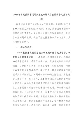2025年乡党委副书记巡察整改专题民主生活会个人发言提纲