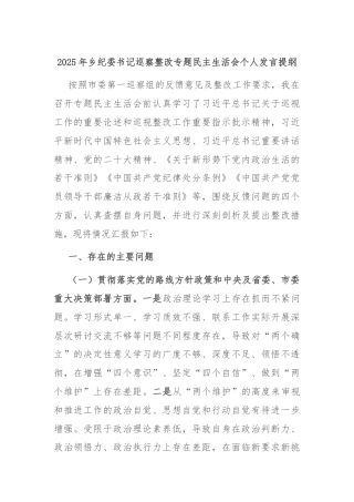 2025年乡纪委书记巡察整改专题民主生活会个人发言提纲