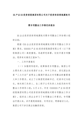 XX产业XX投资控股集团有限公司关于投资担保领域腐败问题专项整治工作情况的报告