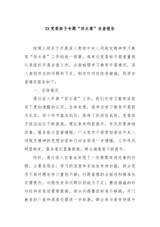 XX党委班子专题“回头看”自查报告