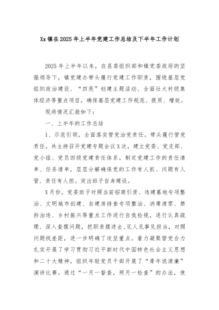 Xx镇在2025年上半年党建工作总结及下半年工作计划
