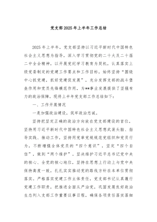 党支部 2025 年上半年工作总结