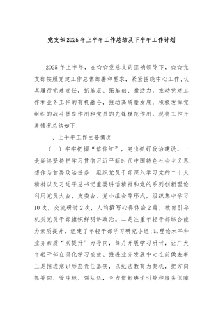 党支部 2025 年上半年工作总结及下半年工作计划