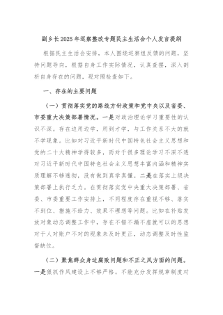 副乡长2025年巡察整改专题民主生活会个人发言提纲