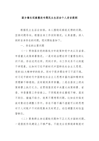 副乡镇长巡察整改专题民主生活会个人发言提纲