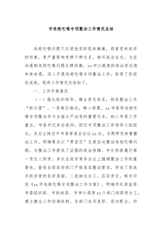 市违规吃喝专项整治工作情况总结