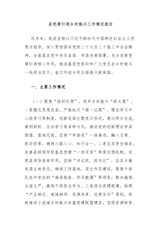 县党建引领乡村振兴工作情况报告