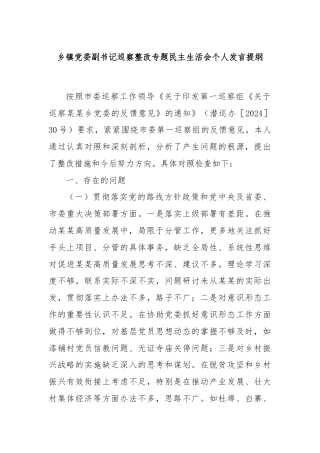乡镇党委副书记巡察整改专题民主生活会个人发言提纲