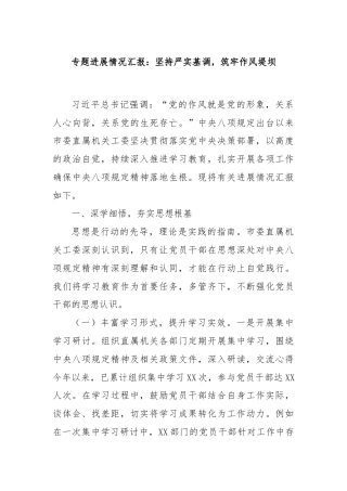 专题进展情况汇报：坚持严实基调，筑牢作风堤坝