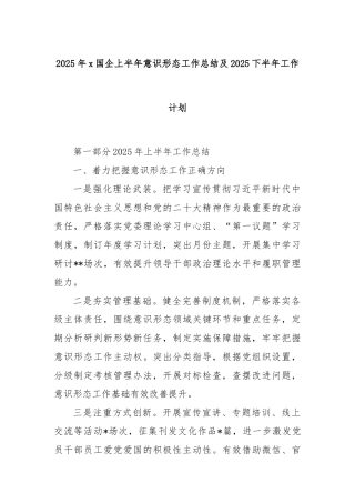 2025年x国企上半年意识形态工作总结及 2025 下半年工作计划