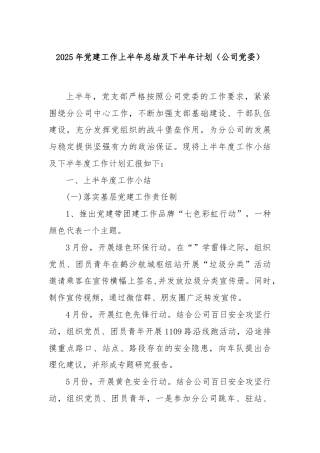 2025年党建工作上半年总结及下半年计划（公司党委）
