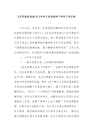 X区司法局2025年上半年工作总结和下半年工作计划
