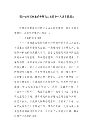 副乡镇长巡察整改专题民主生活会个人发言提纲2