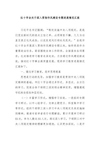 红十字会关于深入贯彻作风建设专题进展情况汇报