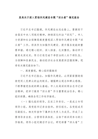 某局关于深入贯彻作风建设专题“回头看”情况报告