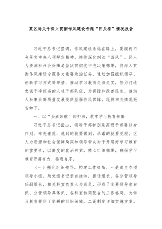 某区局关于深入贯彻作风建设专题“回头看”情况报告