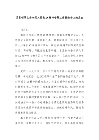 某县领导在全市深入贯彻XX精神专题工作推进会上的发言