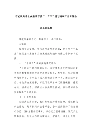 市发改局局长在某某市委“十五五”规划编制工作专题会议上的汇报