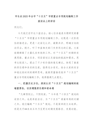 市长在2025年全市“十五五”市级重点专项规划编制工作座谈会上的讲话