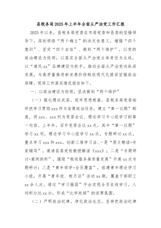 县税务局2025年上半年全面从严治党工作汇报
