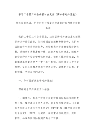 学习二十届三中全会研讨会发言（高水平对外开放）