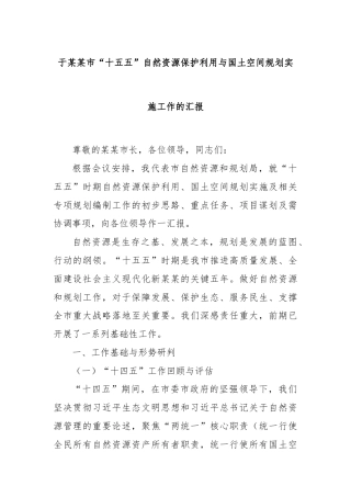 于某某市“十五五”自然资源保护利用与国土空间规划实施工作的汇报