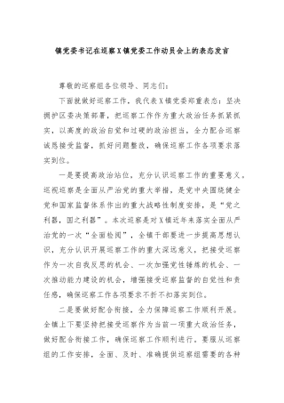 镇党委书记在巡察X镇党委工作动员会上的表态发言