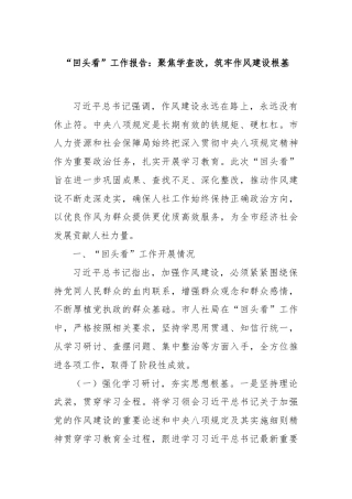 “回头看”工作报告：聚焦学查改，筑牢作风建设根基