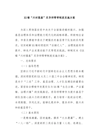 XX镇“兴村强基”双导师帮带制度实施方案