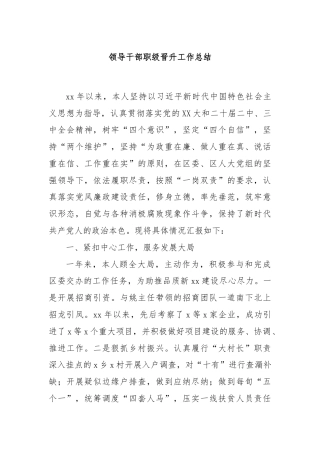 领导干部职级晋升工作总结