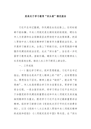 某局关于学习教育“回头看”情况报告