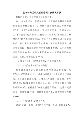 县审计局关于反腐败协调工作情况汇报