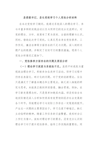县委副书记、县长党校学习个人党性分析材料