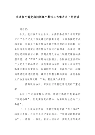 在违规吃喝突出问题集中整治工作推进会上的讲话