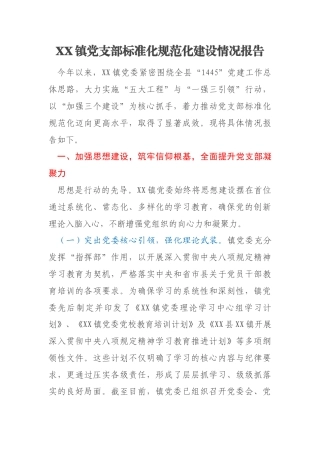 XX镇党支部标准化规范化建设情况报告