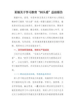 某镇关于学习教育“回头看”总结报告