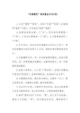 (55例)“巡察整改”高质量金句