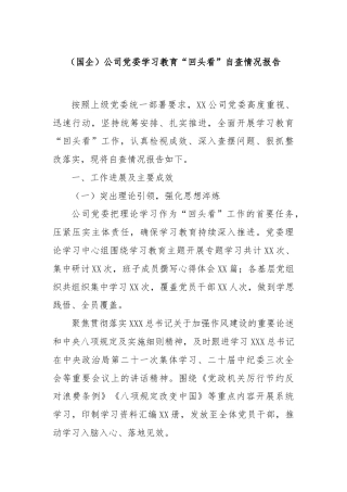 (国企)公司党委学习教育“回头看”自查情况报告