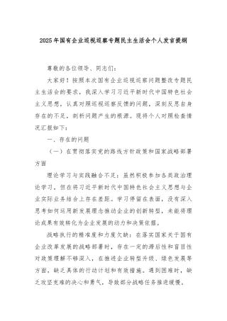 2025年国有企业巡视巡察专题民主生活会个人发言提纲